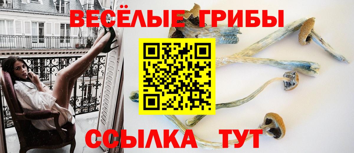 Галлюциногенные грибы прущие грибы Абакан
