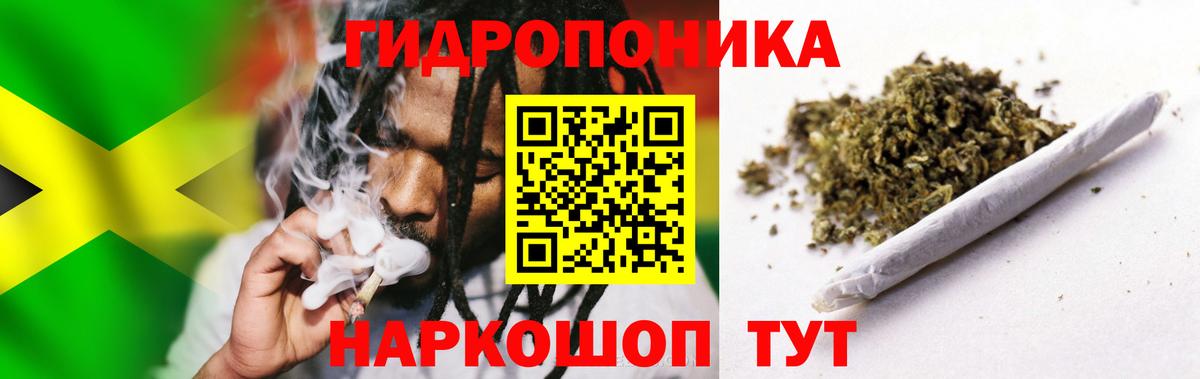 МАРИХУАНА план Абакан
